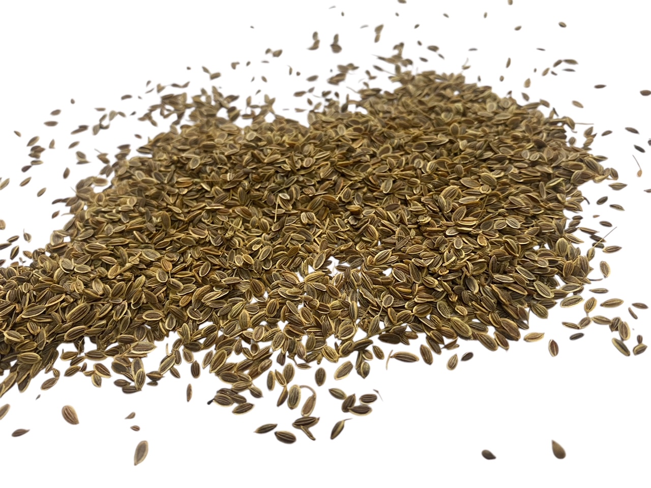 an image of dill seed copyright d hugonin not to be used without permission