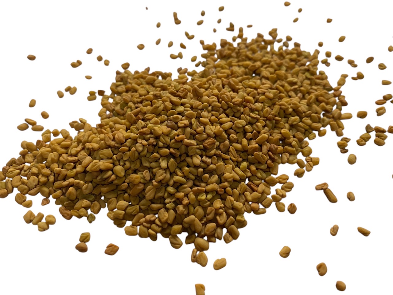 an image of fenugreek seed copyright d hugonin not to be used without permission