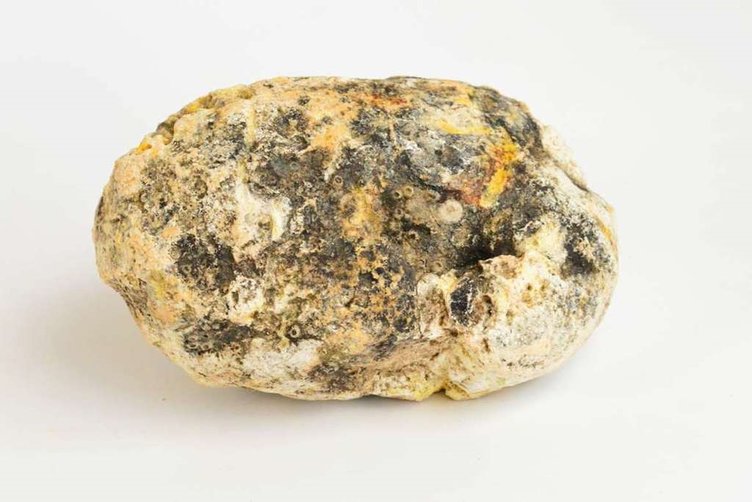 AMBERGRIS - What is it? - you'd be surprised - Luminescents
