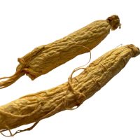 an image of panax ginseng copyright d hugonin and not to be used without premission