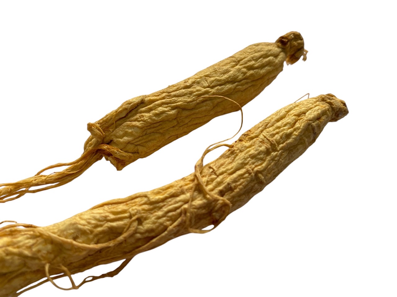 an image of panax ginseng copyright d hugonin and not to be used without premission