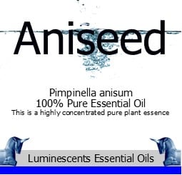 Aniseed Essential Oil - Pimpinella anisum
