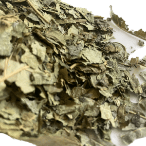 Black Mulberry Leaf (Cut) - Morus nigra