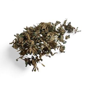 cowslip fkowers copyright d hugonin not to be used without permission