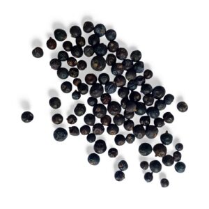 juniper berries copyright d hugonin not to be used without permission