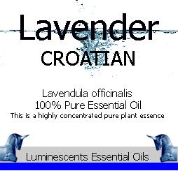 Lavender Croatian Essential Oil-Lavendula officinalis