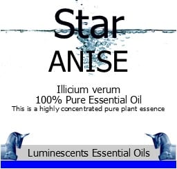 Star Anise 100% Pure Essential Oil - Illicium verum - Chinese anise