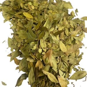 Myrtle Leaves (Whole Leaf) - Myrtus communis