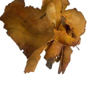 Chinese Sarsaparilla Root (Cut) - Smilax glabra