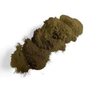 oriental wormwood powder copyright d hugonin not to be used without permission