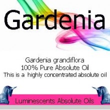 gardenia absolute oil label