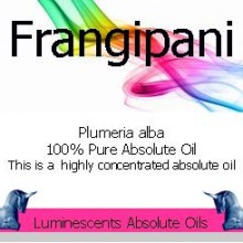 frangipani absolute oil label