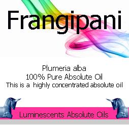 Frangipani Absolute (Plumeria) 100% Essential Oil, High Quality Pure  Undiluted
