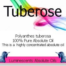 Tuberose Absolute Oil label