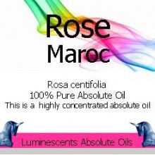 Rose Maroc Absolute Oil