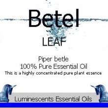 betel leaf essential oil label