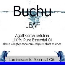 Buchu Leaf essential oil label