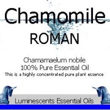 Roman Chamomile