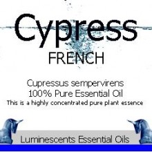 cypress french