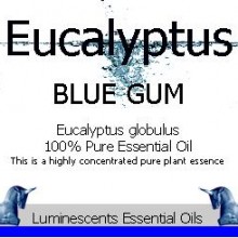 eucalyptus blue gum essential oil label