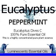 peppermint eucalyptus label