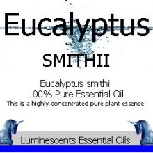eucalyptus smithii label