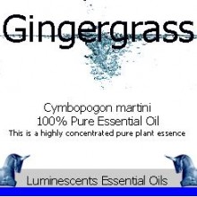 gingergrass essential oil label