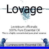 lovage essential oil