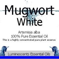 White Mugwort Essential-oil