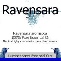 ravensara essential oil label