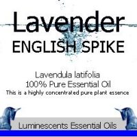 english spike lavender label