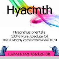 hyacinth absolute oil label