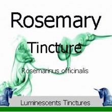 rosemary tincture