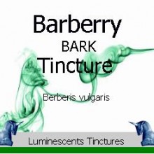 Barberry Bark Tincture