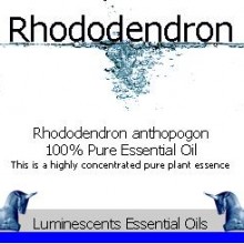 Rhododendron essential oil label