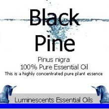 black pine essential oil label