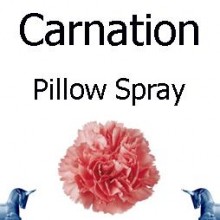 Carnation Pillow Spray